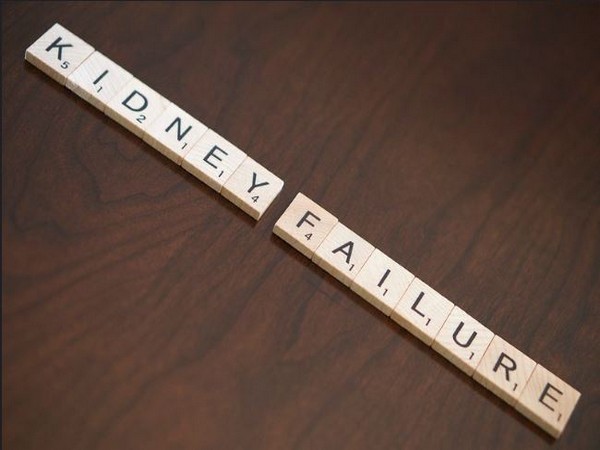 Mastering the targeted delivery of therapeutic genes is the first necessary step towards the implementation of gene therapy to treat renal diseases