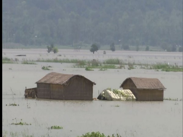 Visual from Morigaon in Assam (Photo/ANI) 