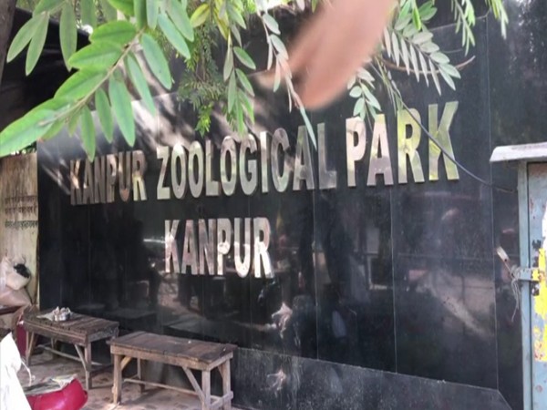 Visual from Kanpur zoo