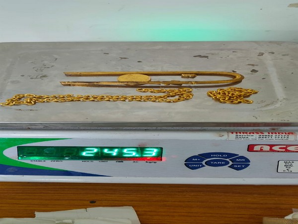 245 gram gold of 24-carat purity worth Rs 12.25 lakh was seized at Kozhikode International Airport. (Photo/ANI)