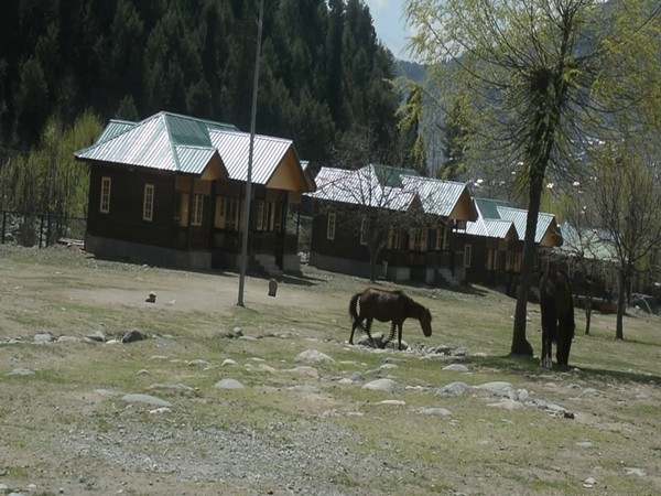 New huts in the Kokernag (Photo/ANI)