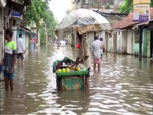 A street in Kolkata on Sunday (Photo/ANI)