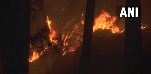 Forest fire breaks out in Udhampur (Photo/ANI) 