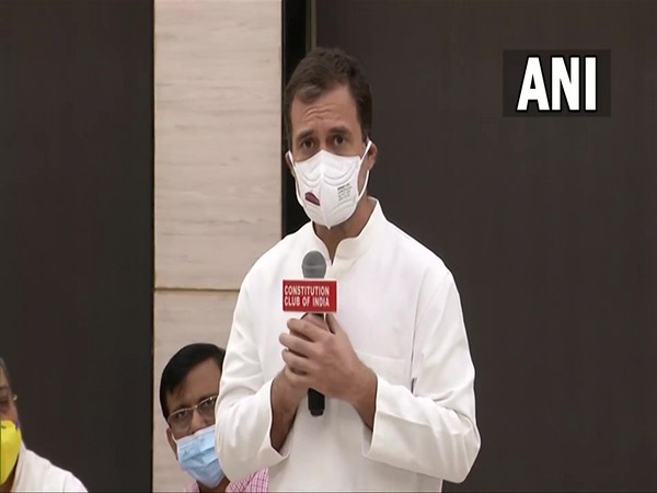 Congress leader Rahul Gandhi (Photo/ANI)