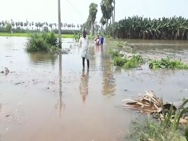 A man surveys his flooded farmland. (Photo/ANI)