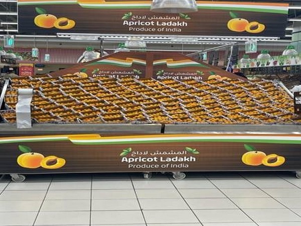Ladakh Apricot on display in Lulu Group FMCG-Dubai. ( Photo credit: Ministry of Commerce & Industry)