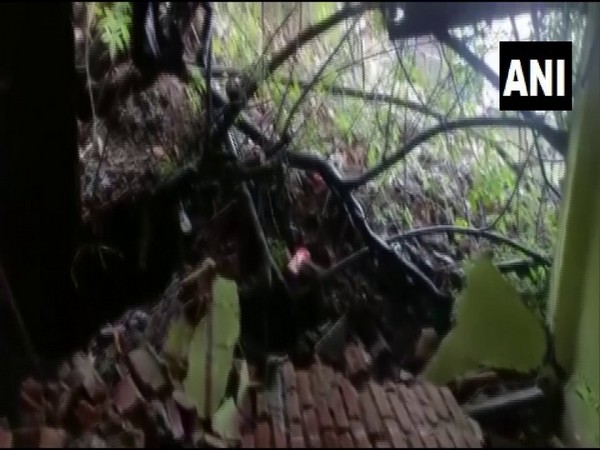 Landslide visual from Mumbai (Photo/ANI)