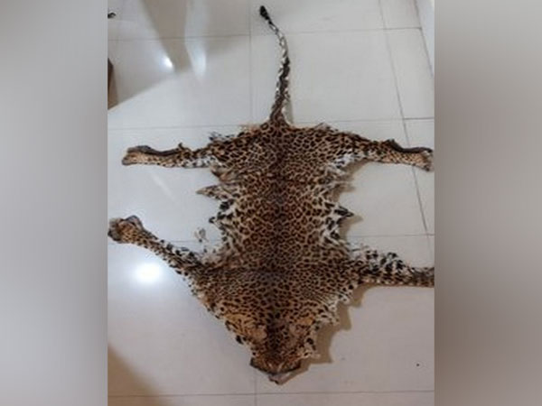 The Leopard skin seized. 