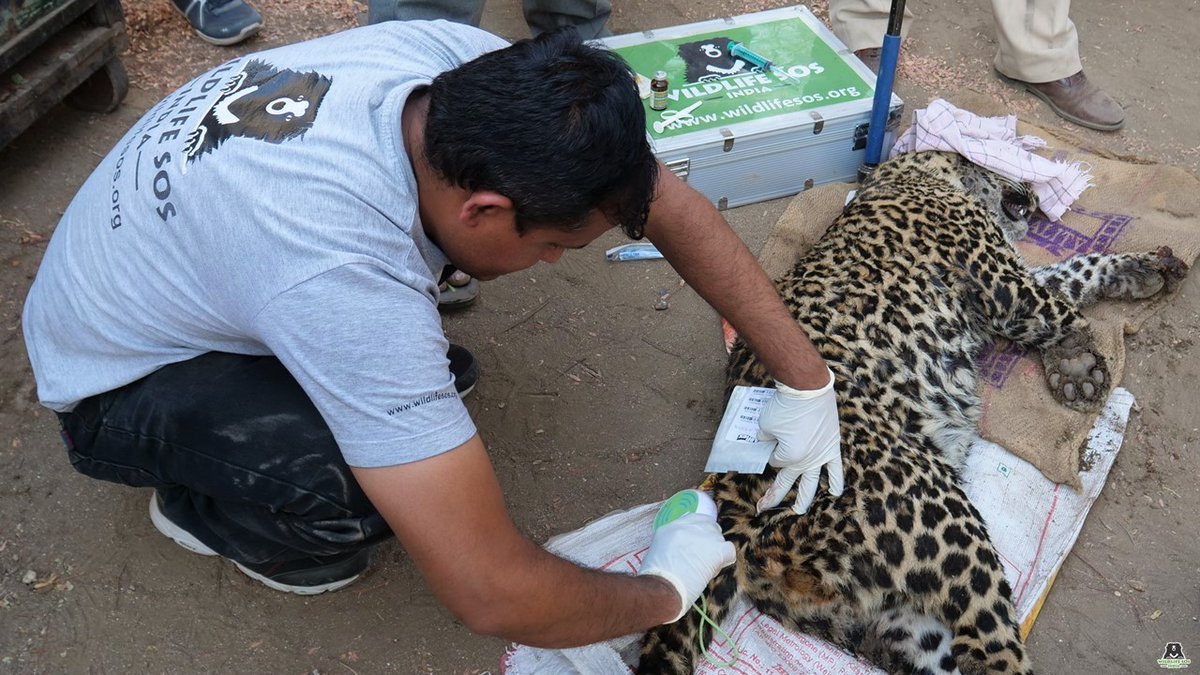 Visual from the rescue operation