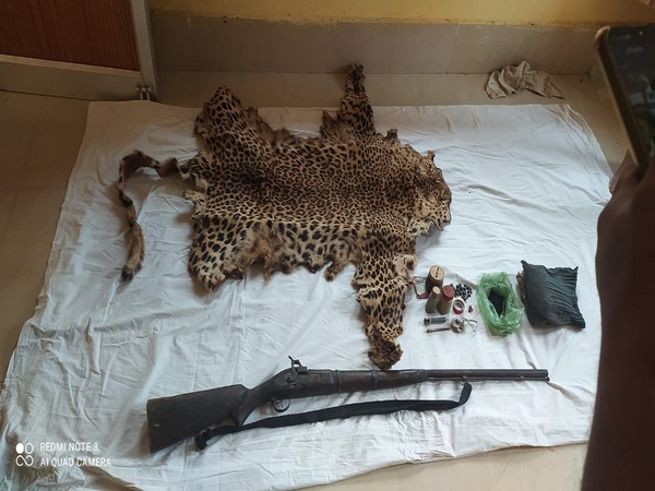 Leopard skin, arms, ammunition seized from poacher 