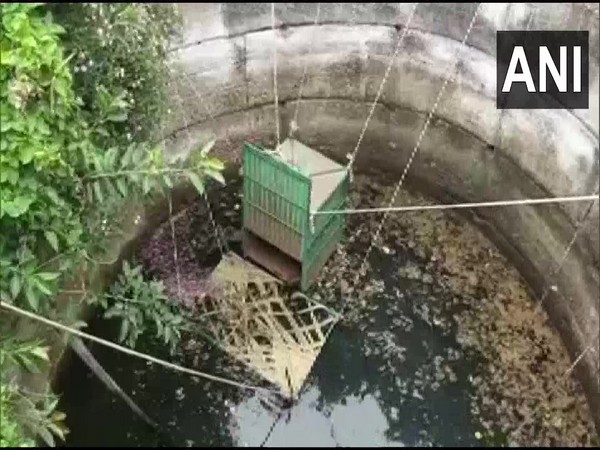 Forest officials rescuing a leopard cub who fell into the well in Nashik (Photo/ANI)