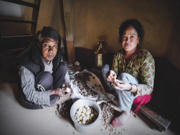 Representative image