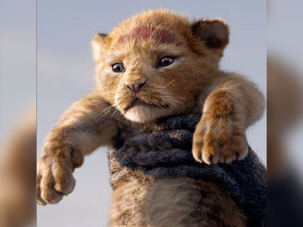 The Lion King (Image courtesy: Instagram) 