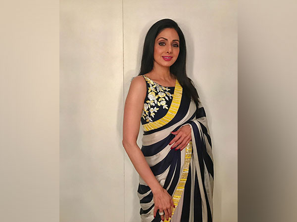 Sridevi (Image Source: Instagram) 