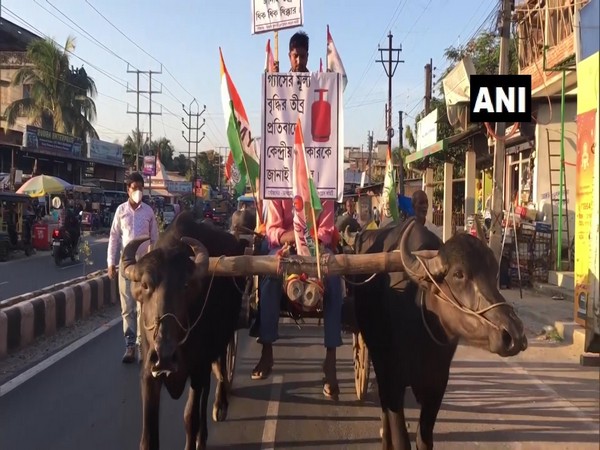 Trinamool Congress organise protest in Siliguri (Photo/ANI)
