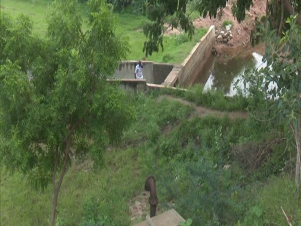 Farmers face water crisis in Madurai affects crop cycle. Photo/ANI