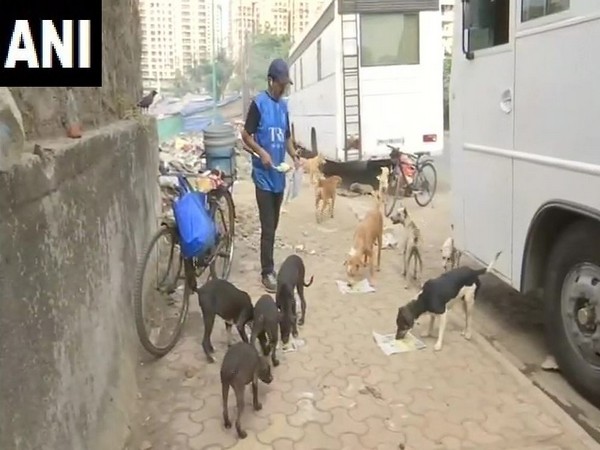 Devraj, man from Lokhandwala, feeding street dogs in Mumbai. Photo/ANI