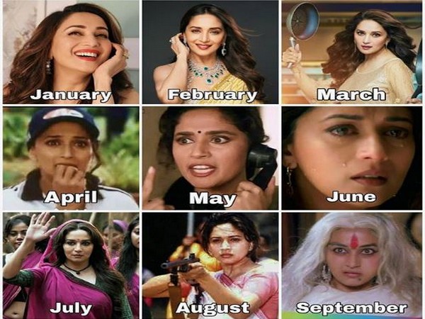 Collage shared by Madhuri Dixit (Image courtesy: Instagram)