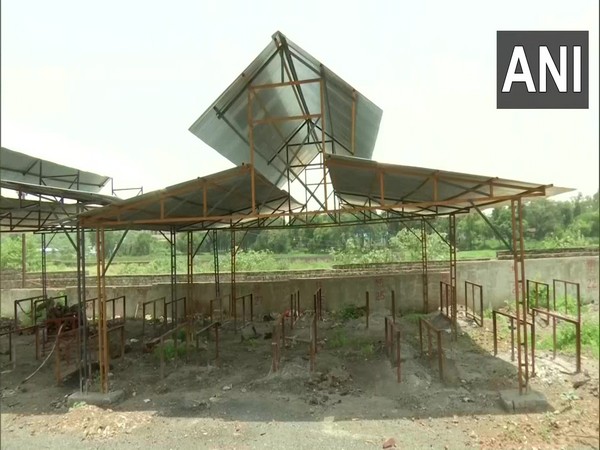Visual of plantation at Bhadbhada crematorium. (Photo/ANI)