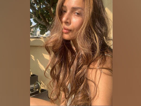 Malaika Arora (Image courtesy: Instagram)