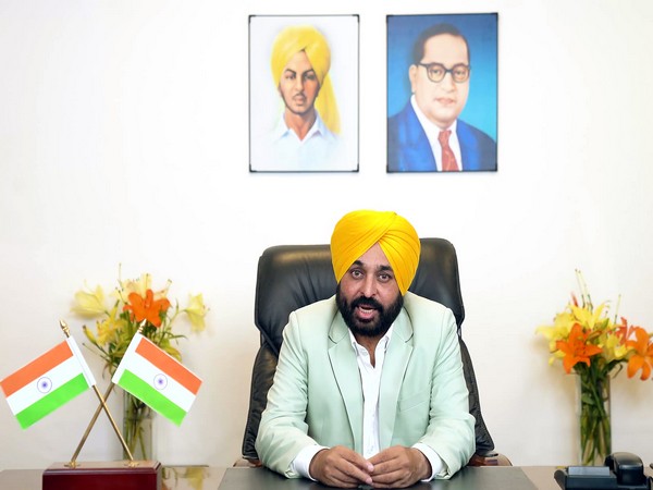 Punjab Chief Minister Bhagwant Mann (File Photo) 