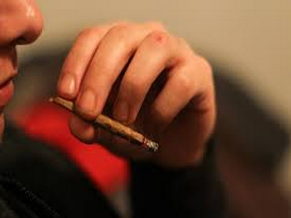 Marijuana may affect the ability to conceive in couples with sub-fertility or infertility but does not appear to affect couples without fertility issues.