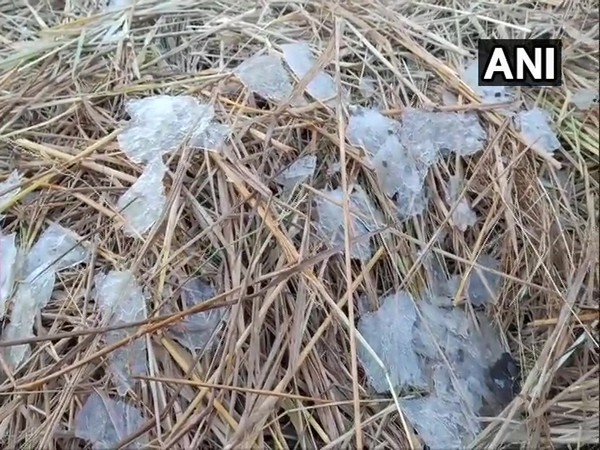 Visual from Similipal National Park in Odisha's Mayurbhanj.