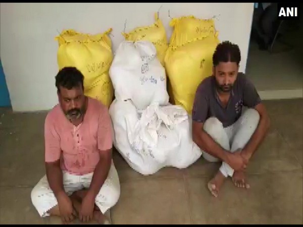 Drug peddlers along with 235 kgs of marijuana which was recovered from their possession by STF on Saturday in Meerut. Photo/ANI