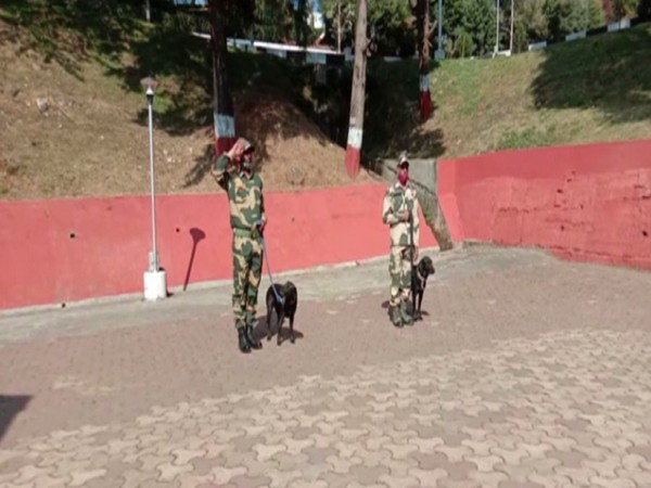 Indian dog breeds trained for patrolling activities (Photo/ ANI).