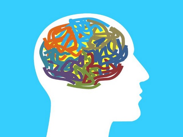 The study was published in the journal Proceedings of the National Academy of Sciences.