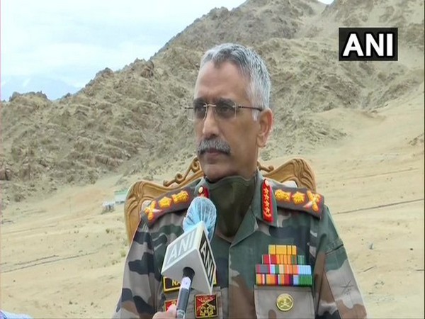 Chief of Army Staff General MM Naravane (File Photo/ANI)