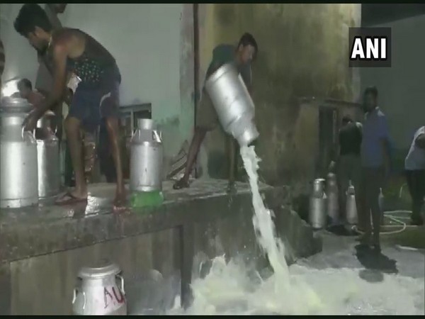 Dairy farmers in Basudebpur town spilling gallons of milk on the roads as a mark of protest.