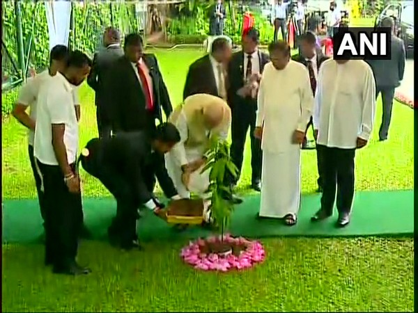 Prime Minister Narendra Modi planting a sapling at the President's Secretariat in Colombo on Sunday (Photo/ANI)