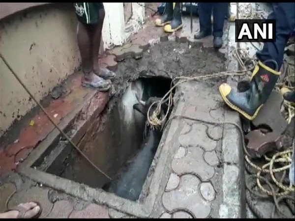 A team of fire brigade along with locals while rescuing the buffalo which fell into a gutter in Mumbai’s Kandivali West area on Wednesday. (Photo: ANI)