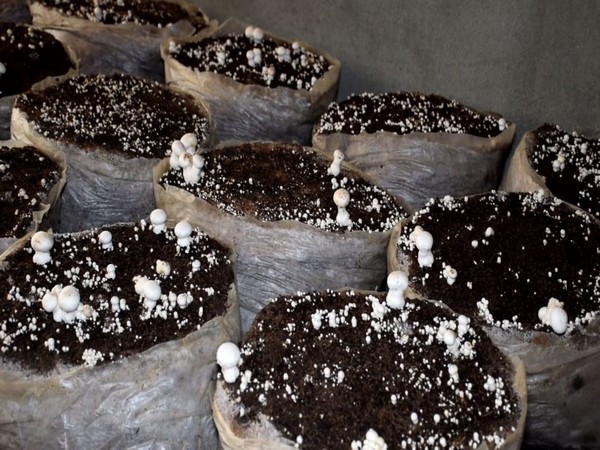 Visuals from the Spot (Photo/ANI)