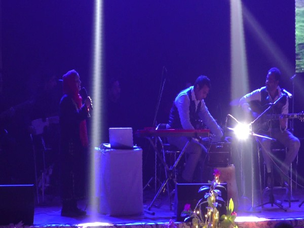Visual from the music festival at J-K's Baramulla (Photo/ANI) 