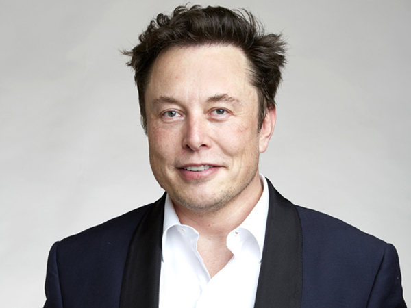 Tesla CEO Elon Musk (File image)