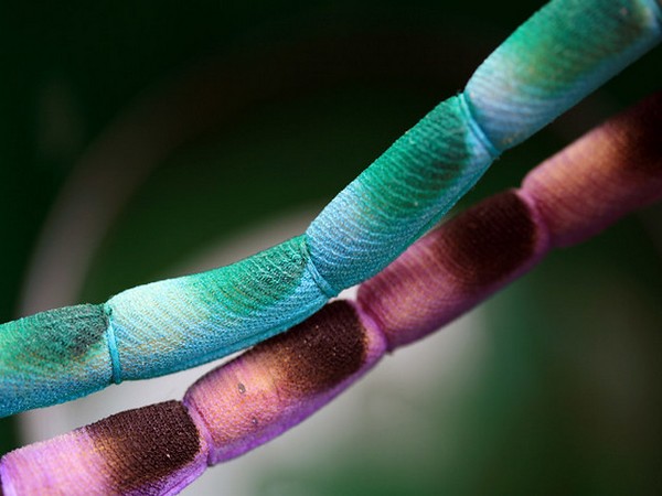 A possible expectation is that the DNMs in the genes which are as yet undiscovered are less penetrant, i.e., they present symptoms in fewer people.