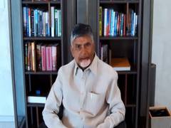 Former Chief Minister of Andhra Pradesh and Telugu Desam Party (TDP) president N Chandrababu Naidu (File pic)