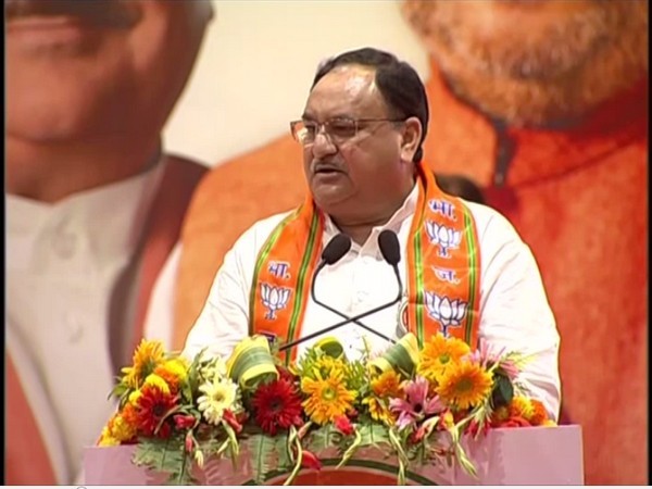 BJP working president JP Nadda (File pic)