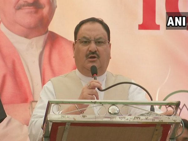 BJP working president JP Nadda (file pic)