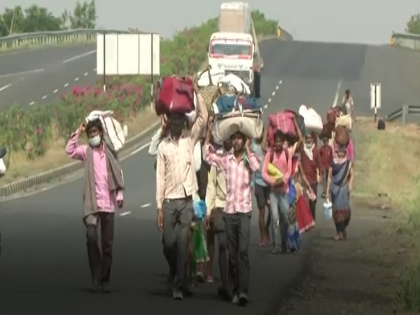 Migrant labourers walk back home after no assistance from helpline numbers. Photo/ ANI