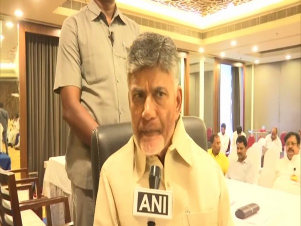 TDP chief and Former Andhra Pradesh Chief Minister Chandrababu Naidu (File photo)