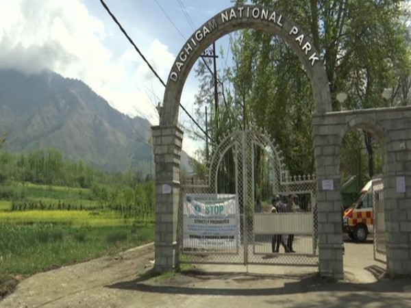 Dachigam National Park, Srinagar