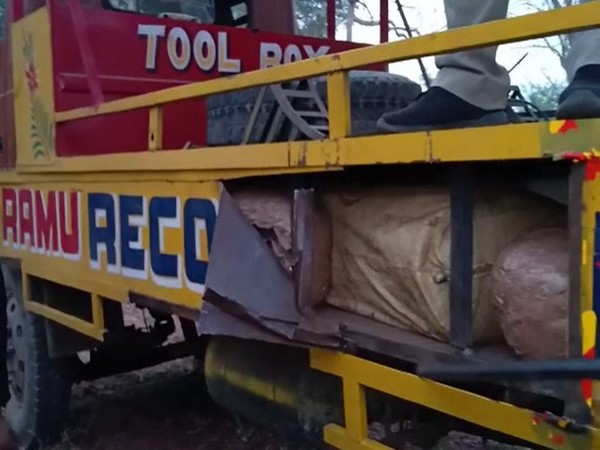 Cannabis hidden in a vehicle recovery van.