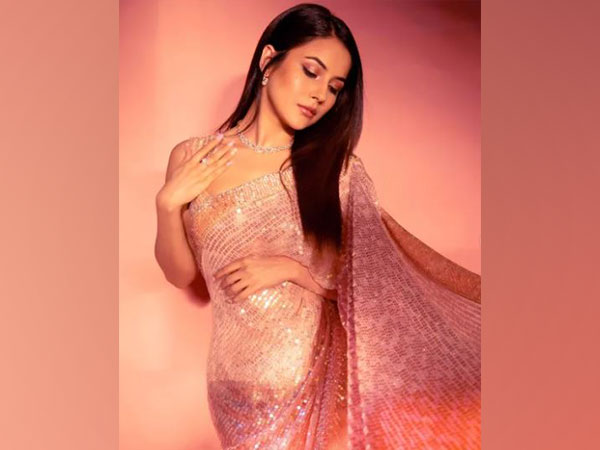 Shehnaaz Gill (Image source: Instagram)