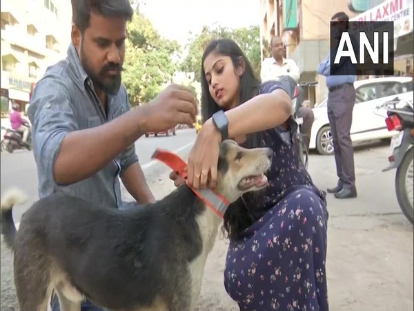 Hyderabad-based NGO 'Collarup' is tagging stray dog with fluorescent collar. (Photo/ANI)
