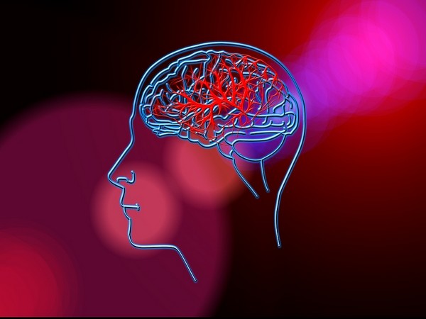 Researchers Ling Wei, Shang Ping Yu, and colleagues injected neural stem cells into the brains of mice after a stroke and activated the cells through nasal administration of a protein.