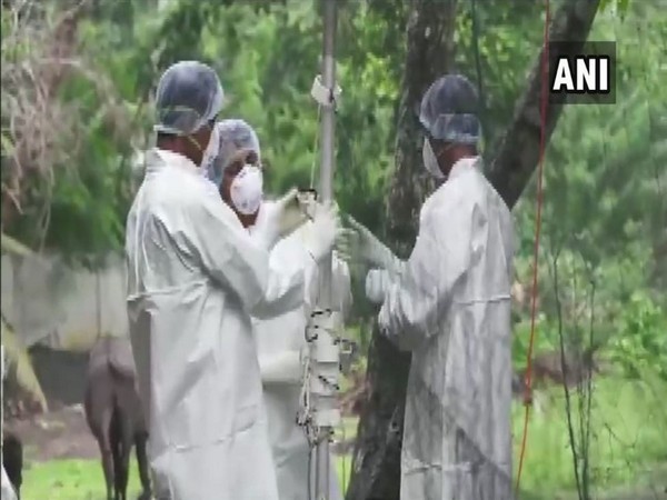 Scientists arrive in Ernakulam (Kerala) to find the source of Nipah virus outbreak