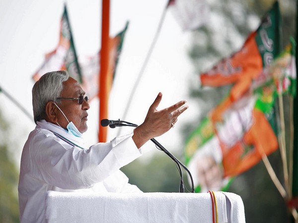 Bihar Chief Minister Nitish Kumar (File photo)